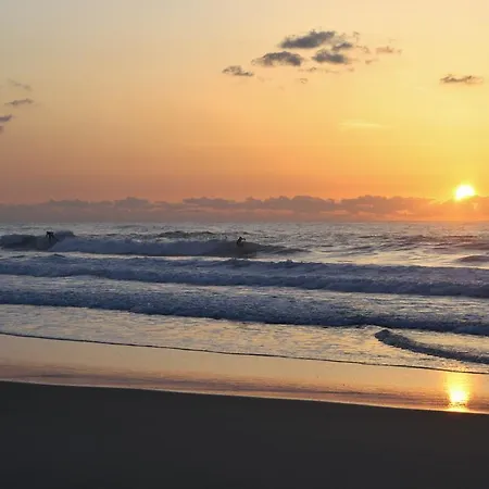 Charming Apt. Apartment *