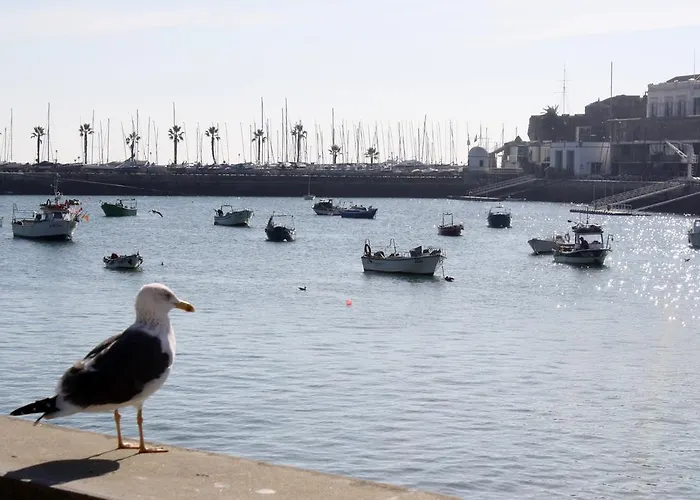 Appartement Charming Apt. *