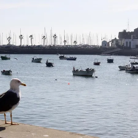 公寓 卡斯卡伊斯迷人公寓。 *